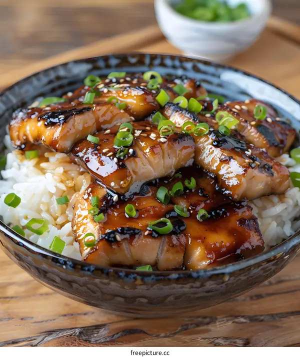 Grilled fish teriyaki with rice