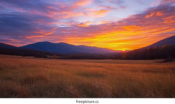 Golden Sunrise Over a Golden Field