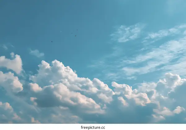 Beautiful Sky with Fluffy Clouds