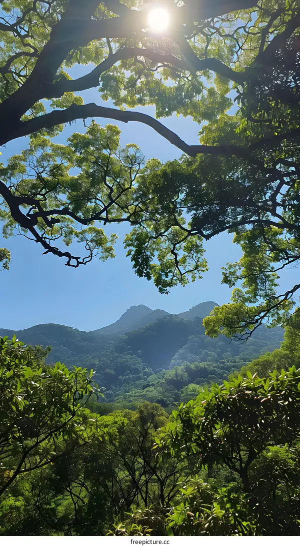 green mountain and blue sky