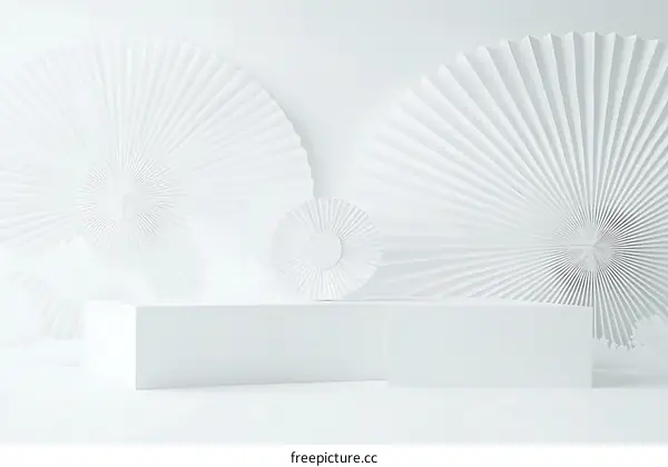 Minimalist White Geometric Display Stand with Decorative Fan-Shaped Elements