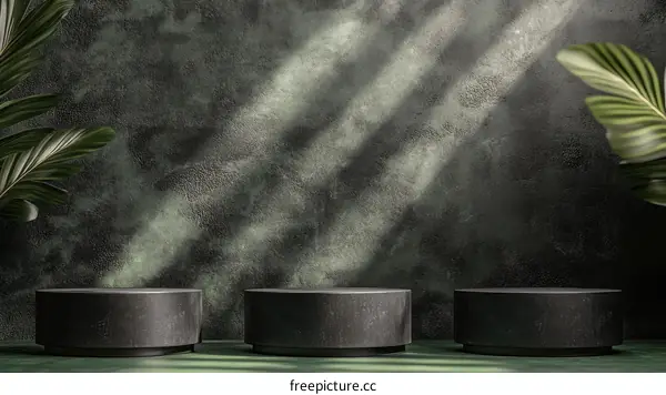 Dark Green Wall Product Display with Stone Pedestals