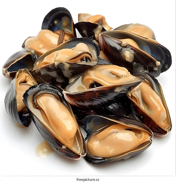 Steamed Mussels on a White Background