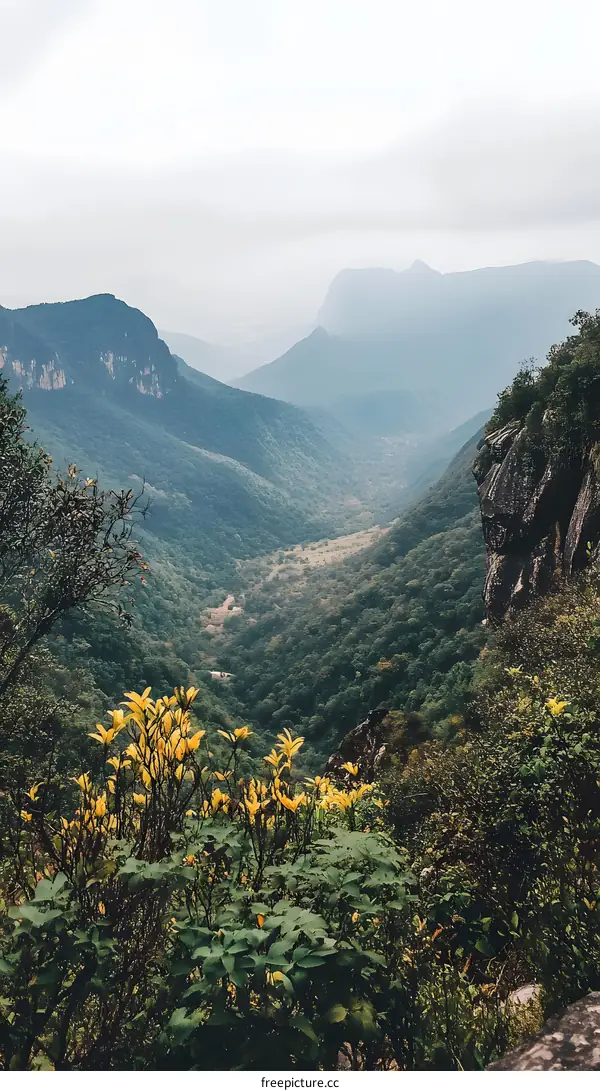 Aerial View of a Mountain Valley with Lush Green Trees