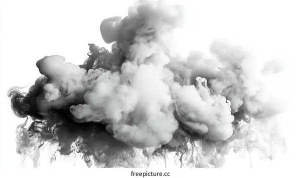 Abstract Ink Blobs on White Background