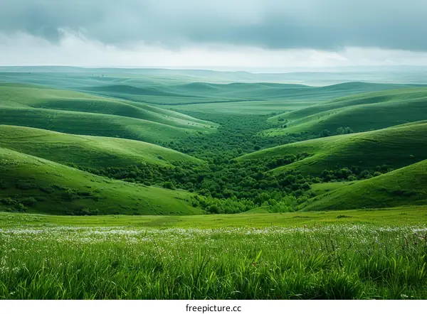 Rolling Green Hills of the Steppe