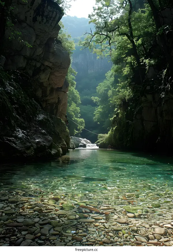 The beauty of nature, captured in a photo