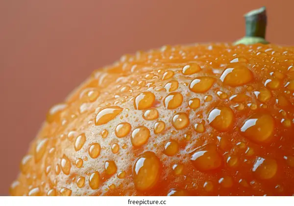 Close-up image of a wet orange