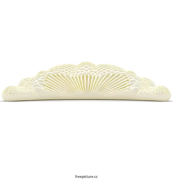 Abstract White Sculpture on White Background