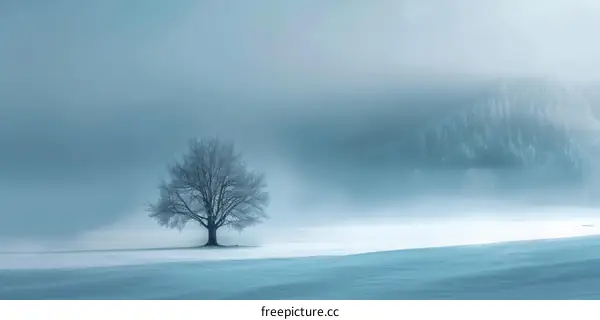 Blue Winter Landscape with Lonely Tree