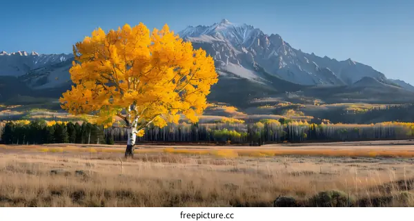 colorful autumn tree in a mountain valley with a river and mountains in the background