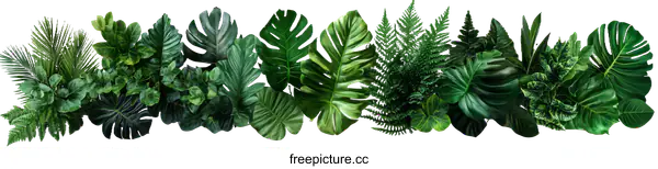 [Transparent Background PNG]Tropical Green Leaves Pattern Illustration