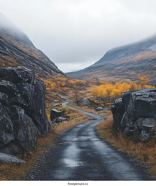 Winding Road Through Foggy Mountain Valley