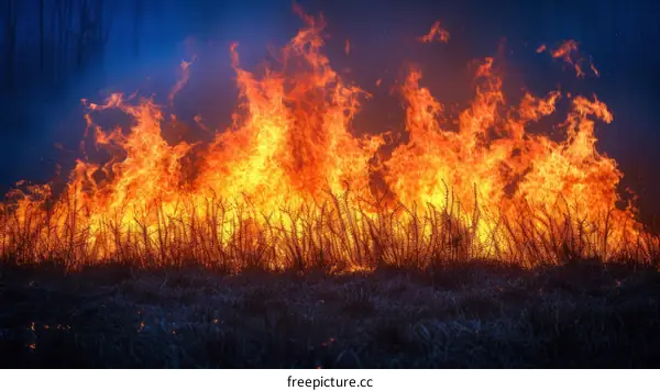 Firefighters Battle a Wildfire at Night