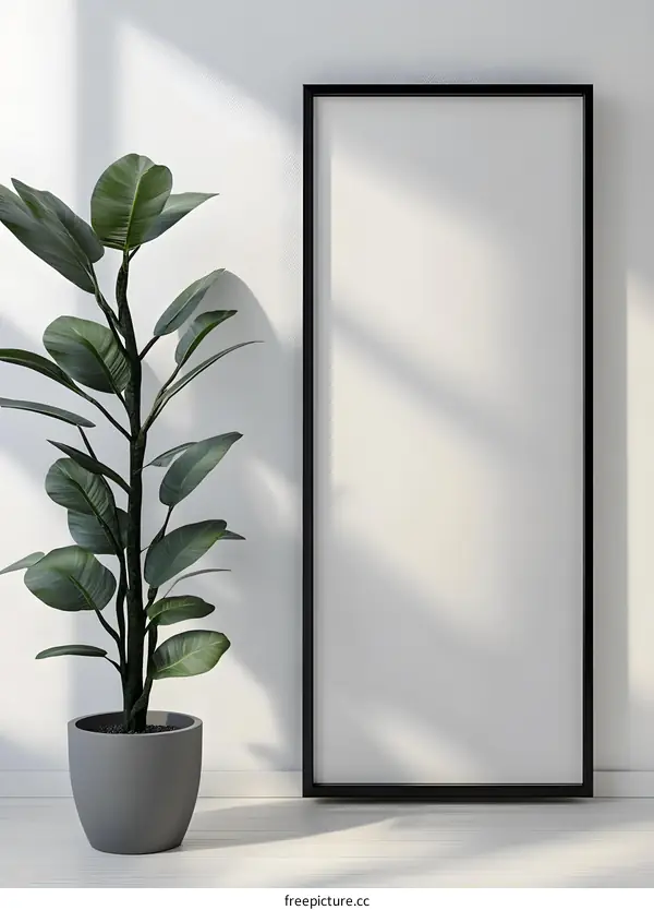 Minimalist White Wall With Black Frame and Plant