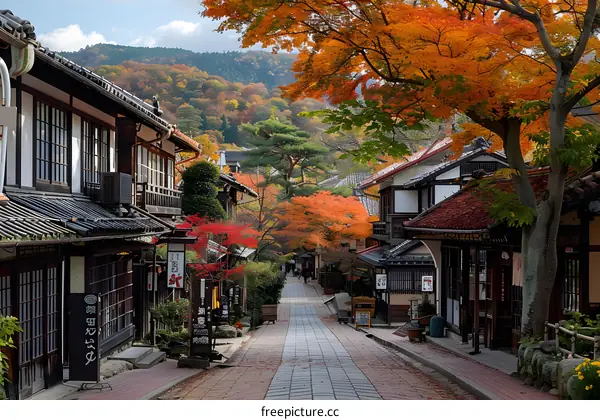 Japanese traditional houses and trees with red and yellow leaves in autumn