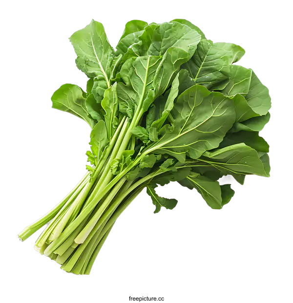 [Transparent Background PNG]Fresh green choy sum on white background