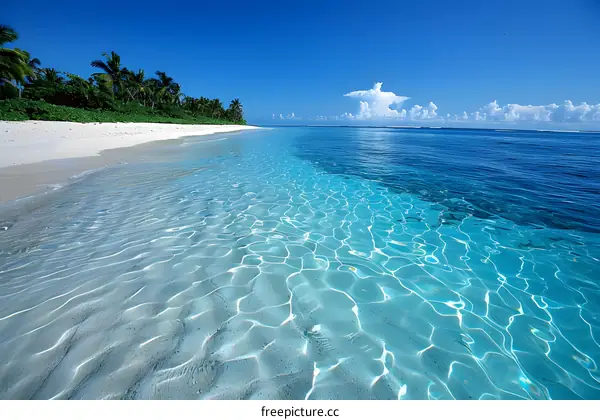 Turquoise Water Tropical Beach Paradise