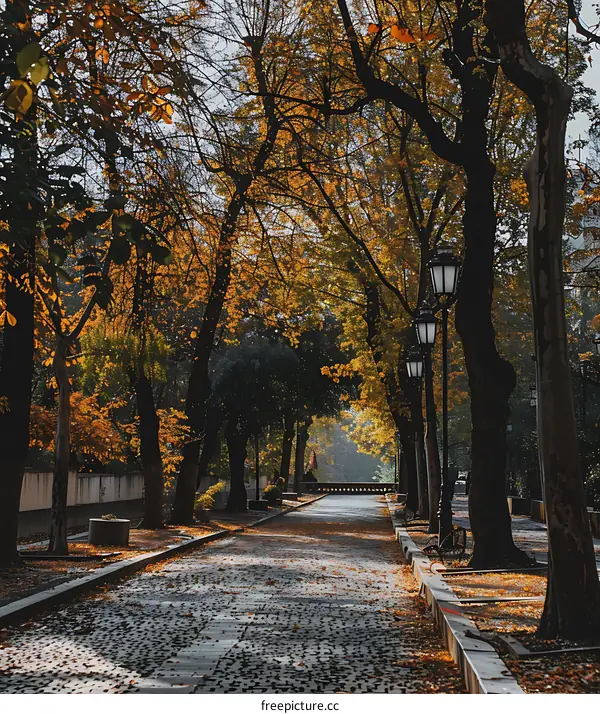 Autumnal Pathway Through Tree Lined Alley