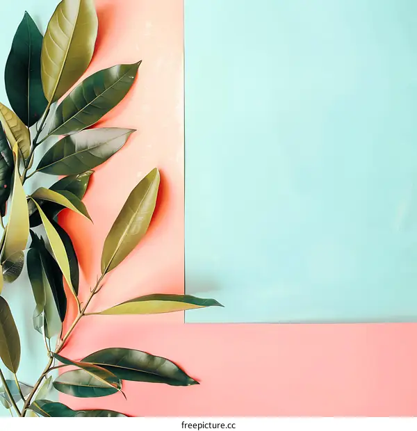 Green Leaves on Pastel Pink and Blue Background