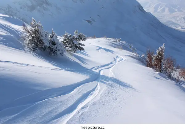 Snowy Mountain Ski Slope with Trees