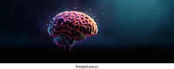Colorful 3D Brain Illustration