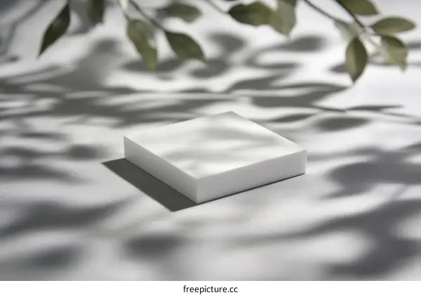 White Block Display with Natural Light and Shadow