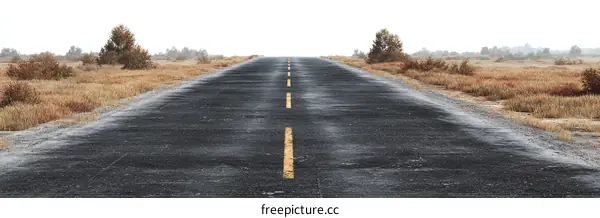 Empty Road Stretching Into the Horizon
