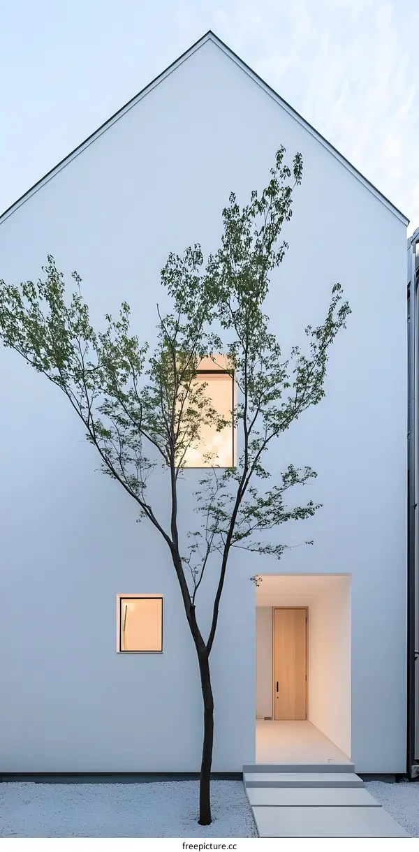 Minimalist Modern House with Tree and Windows
