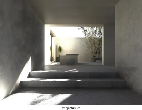 Modern Minimalist Courtyard Design with Concrete Steps and Green Plants