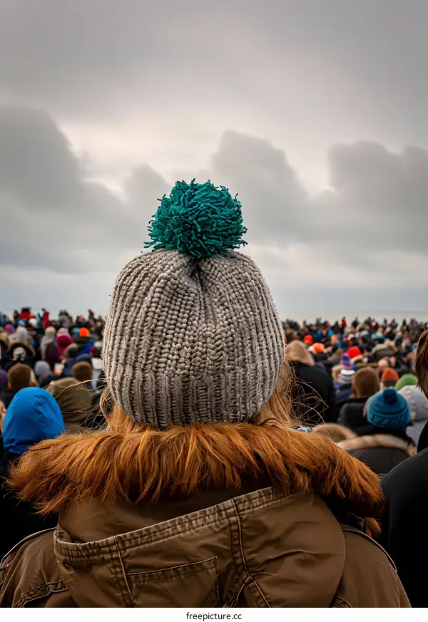 Back of Woman Wearing Grey Knit Hat with Blue Pom Pom and Brown Jacket Looking at Crowd