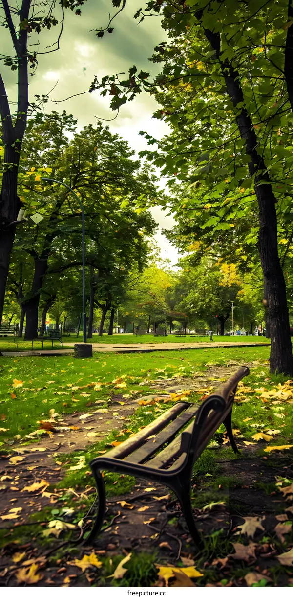 Empty Bench in Autumn Park