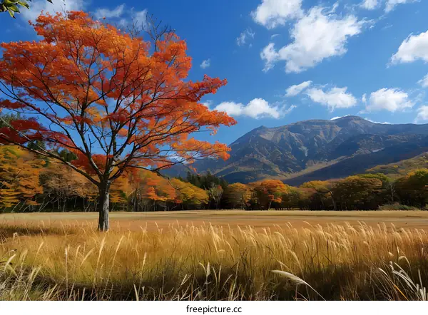Mountaineering in the beautiful autumn