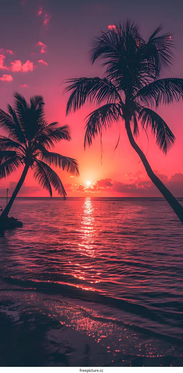 Tropical Sunset Over Ocean with Palm Trees