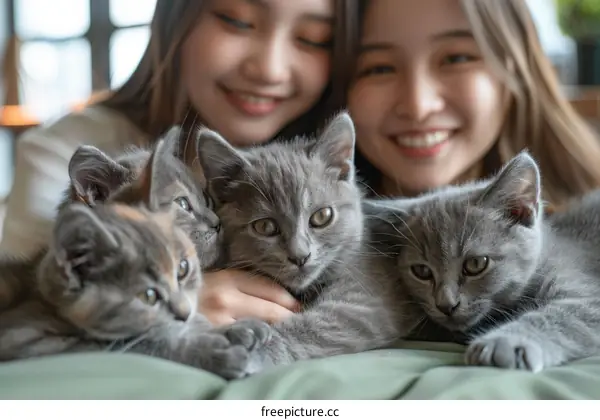 Two young Asian women with three British shorthair cats