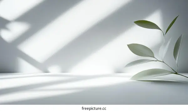 Minimalist White Background with Greenery Illustration