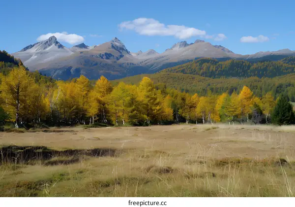 mountain range and trees in autumn