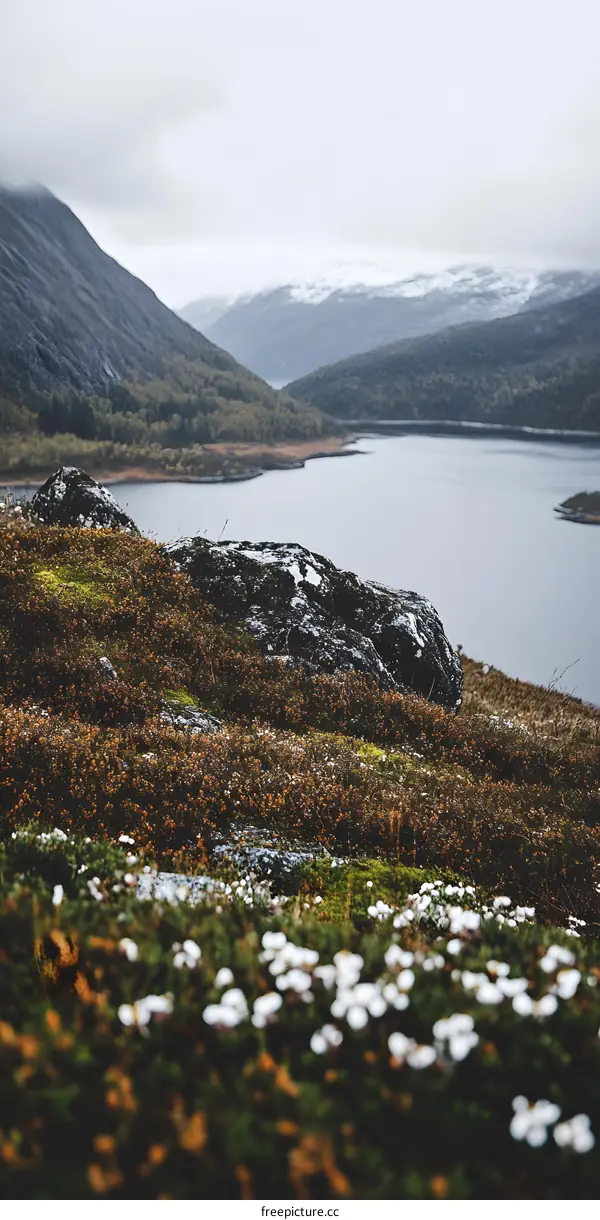 Mountain Lake View With White Flowers