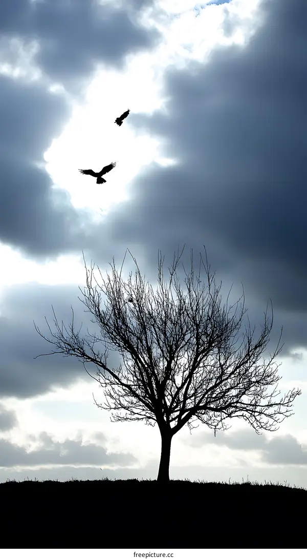 Silhouette of a Tree with Birds Flying in the Sky
