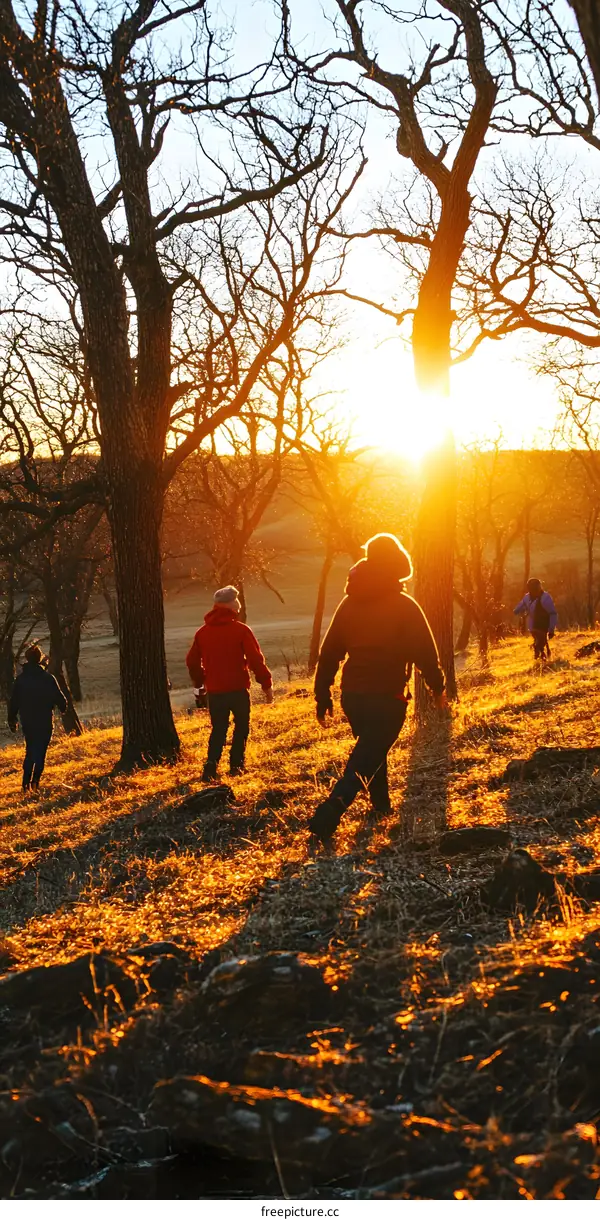 Silhouettes of People Walking Through Forest at Sunset