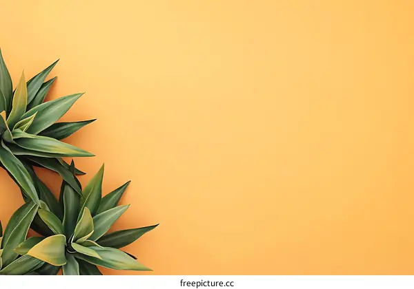 Tropical Leaves on Yellow Background Minimalist Flat Lay Photography