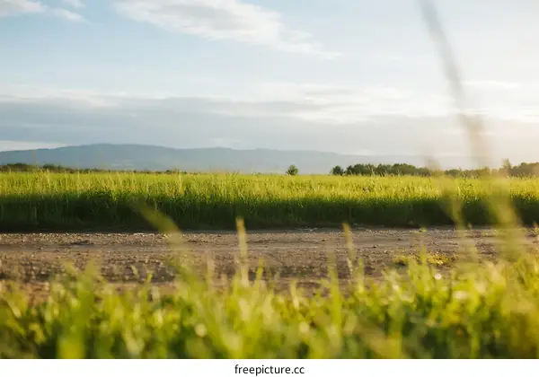A peaceful rural landscape with green fields and distant mountains