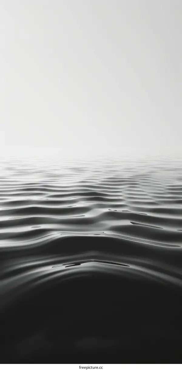Black and white photo of a calm sea