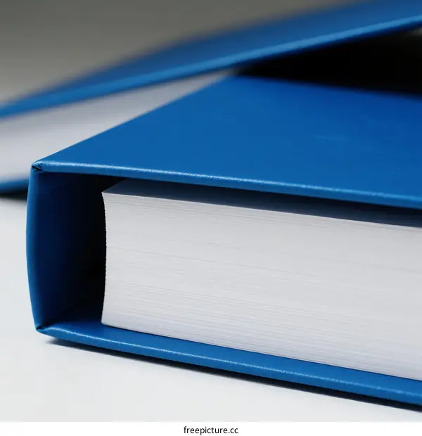 Close-up view of blue binders holding white pages