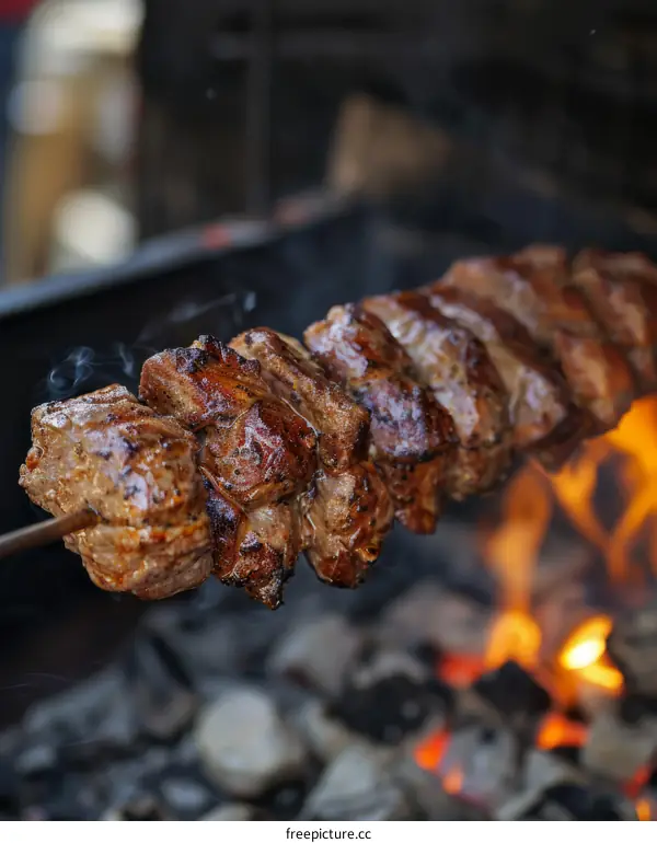 A skewer of meat is being grilled over an open fire