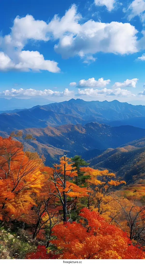 Colorful autumn leaves and mountains in the distance