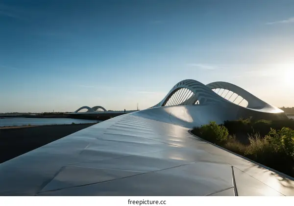 Modern Architectural Structure with Curved Roofs Overlooking Water