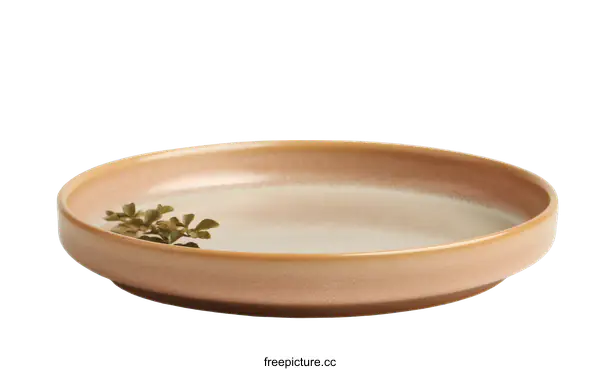 [Transparent Background PNG]Beige Round Dinner Plate with Subtle Design