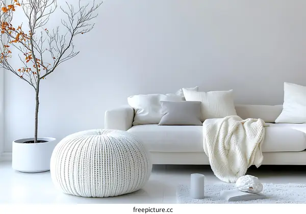 Modern Minimalist Living Room Decor
