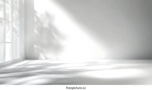 Modern Minimalist Empty Interior Studio Shot